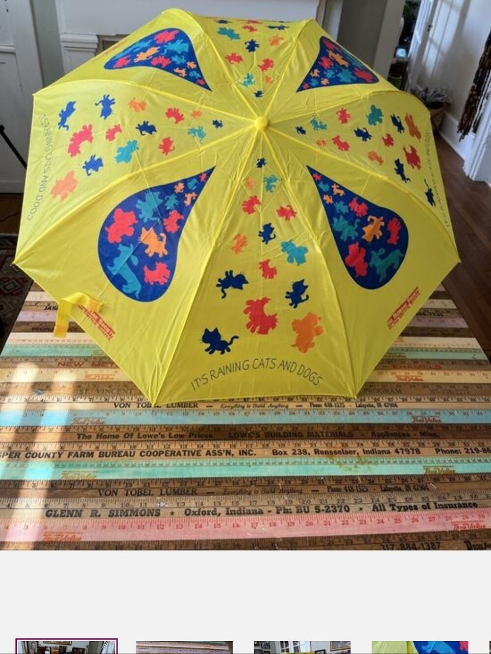 Vintage "It's Raining Cats & Dogs" Umbrella The Humane Society Of The US